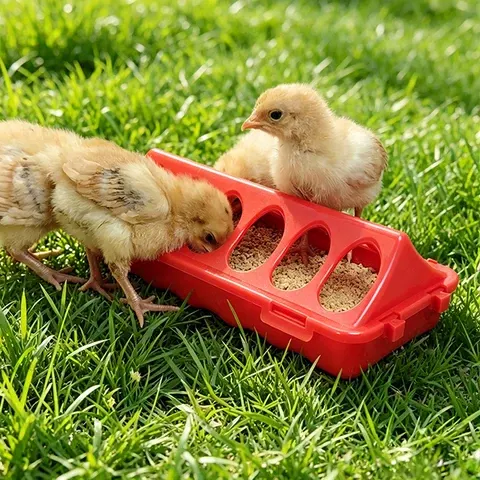 Poultry Automatic Feeder