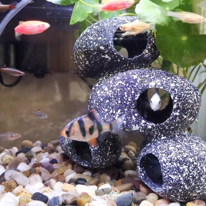 Fish Tank Stone View Decorative Landscaping And Shrimp