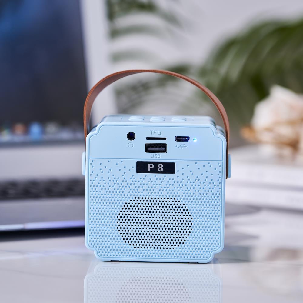 Karaoke Bluetooth Speaker with Mic and RGB 3