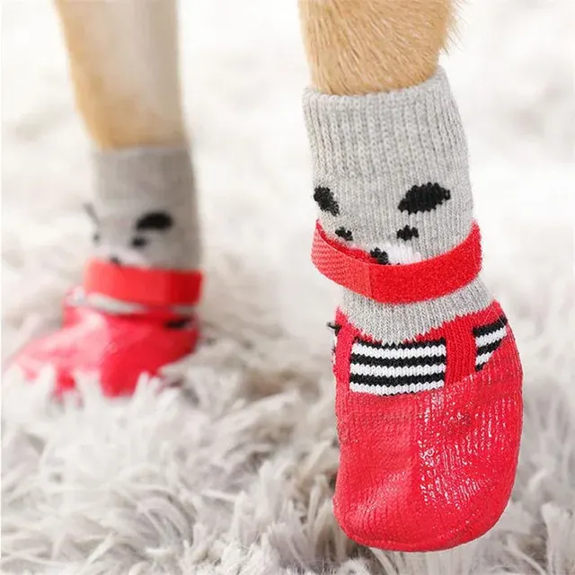 dog socks 2