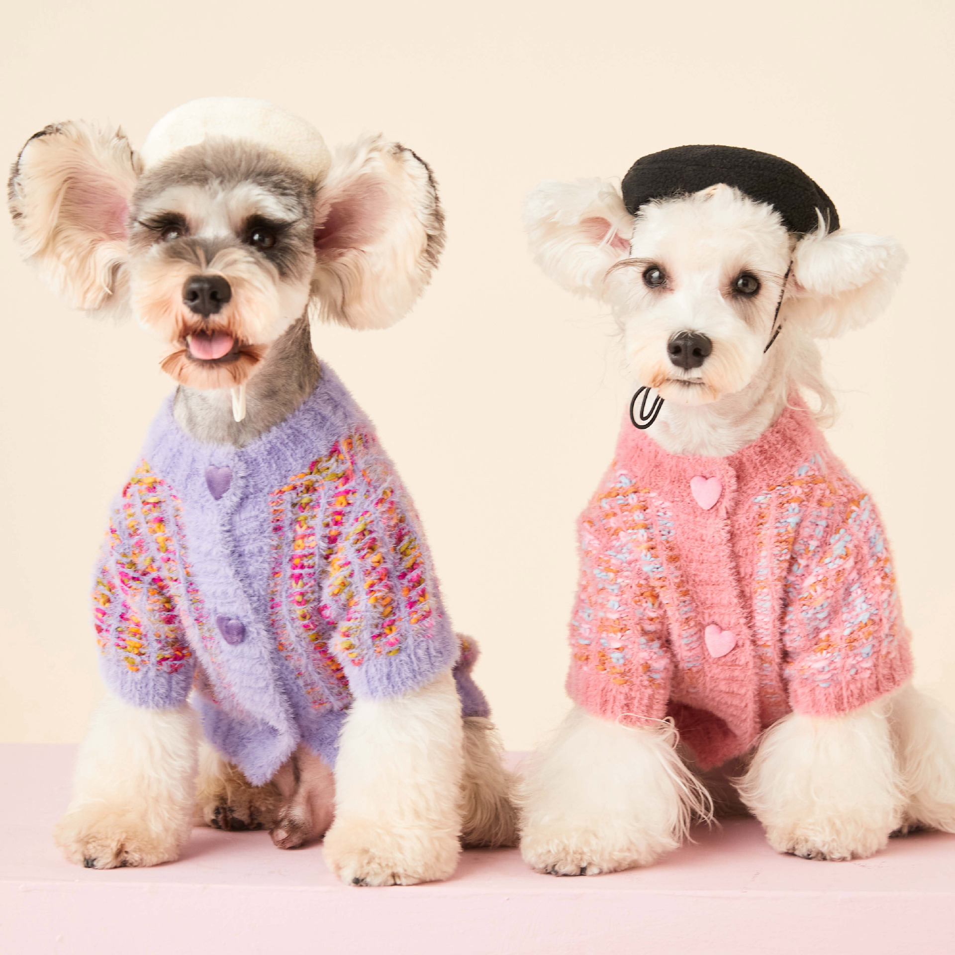 Dog Cat Autumn And Winter Warm Pet Sweater 2