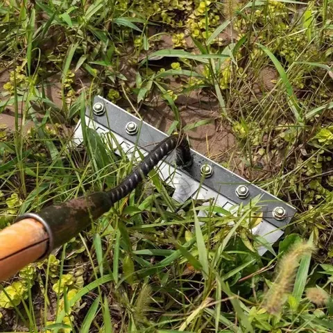 Garden Rake