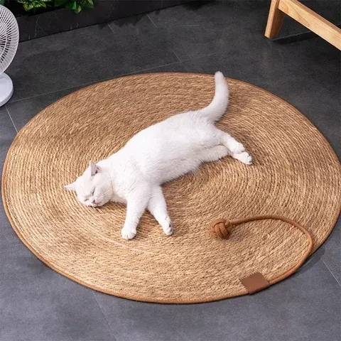Katzen-Kratzbrett