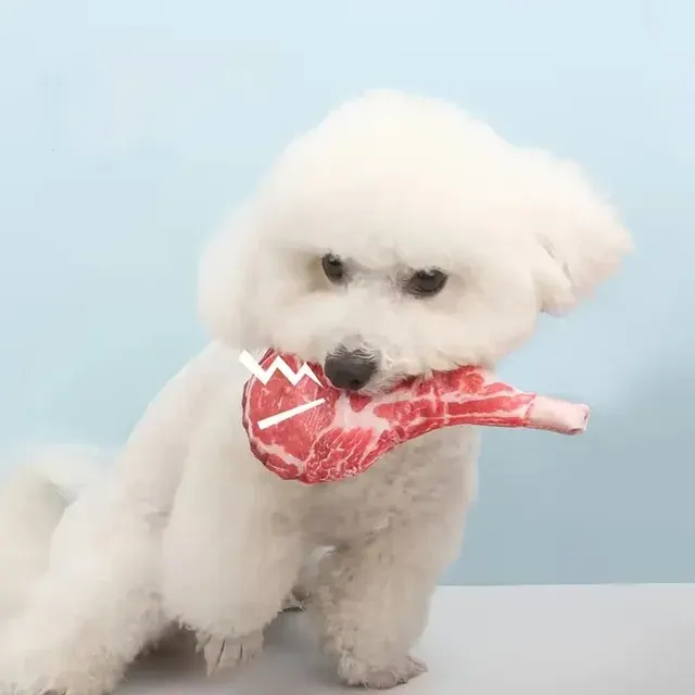 Squeaky Chew Toy for Dogs 4