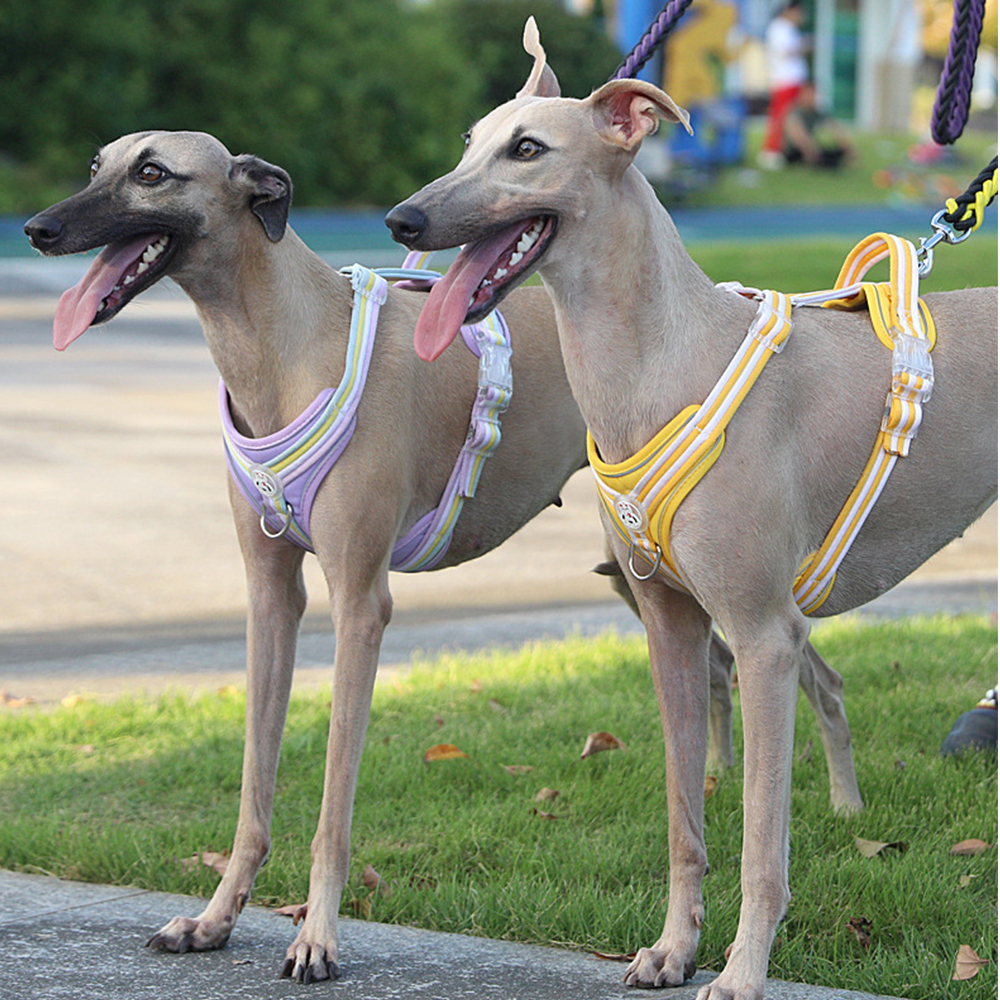 Breathable Reflective Dog Pulling Harness