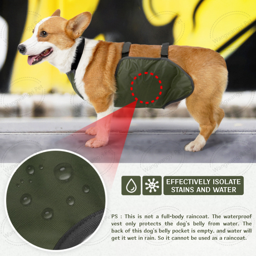 Verstellbarer Bauchschutz für Dackel und Corgis 4