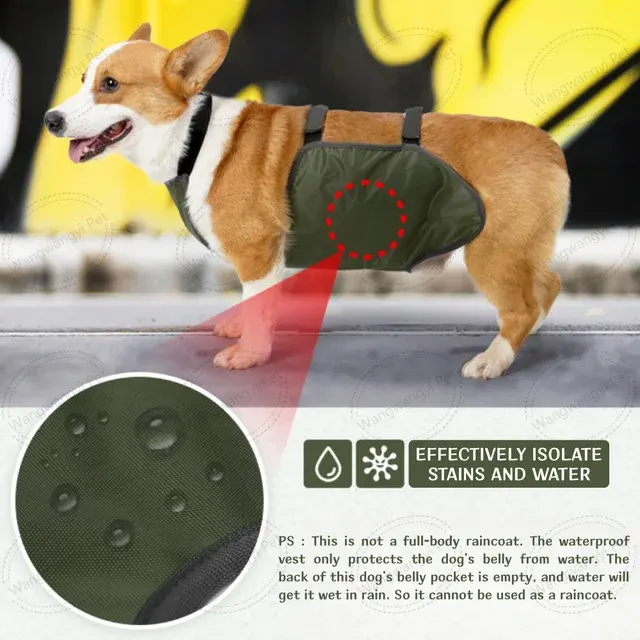 Adjustable Waterproof Belly Shield for Dogs 4