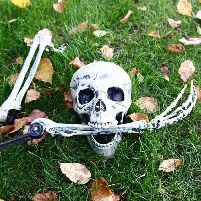 Realistic Skull Prop 3