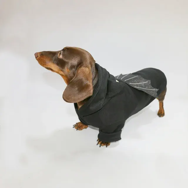 Hunde-Halloween-Pullover 4
