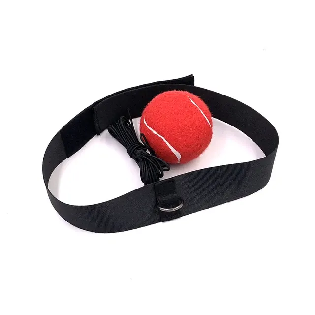 Reflex Boxing Ball 2