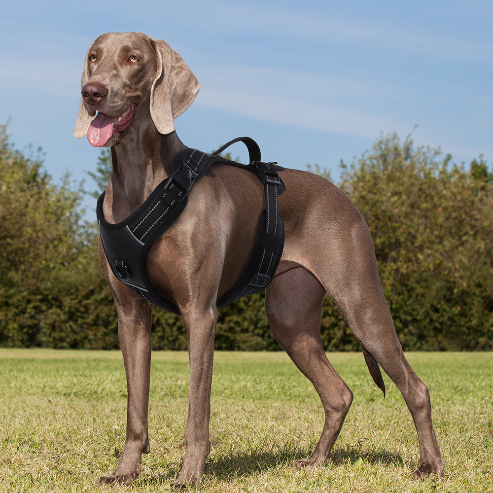 Large Reflective Dog Harness