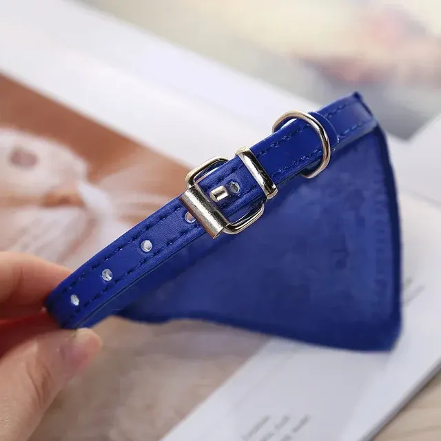 Dog Collar with Scarf 4