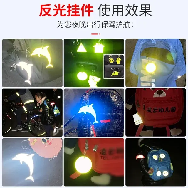 Dolphin Reflector Charm 4