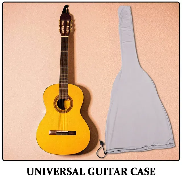 Guitar Dust Cover 4