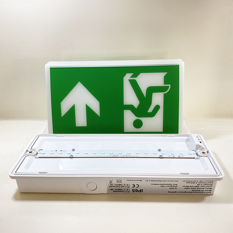 IP65 Emergency Light with 1500mAh Battery 4