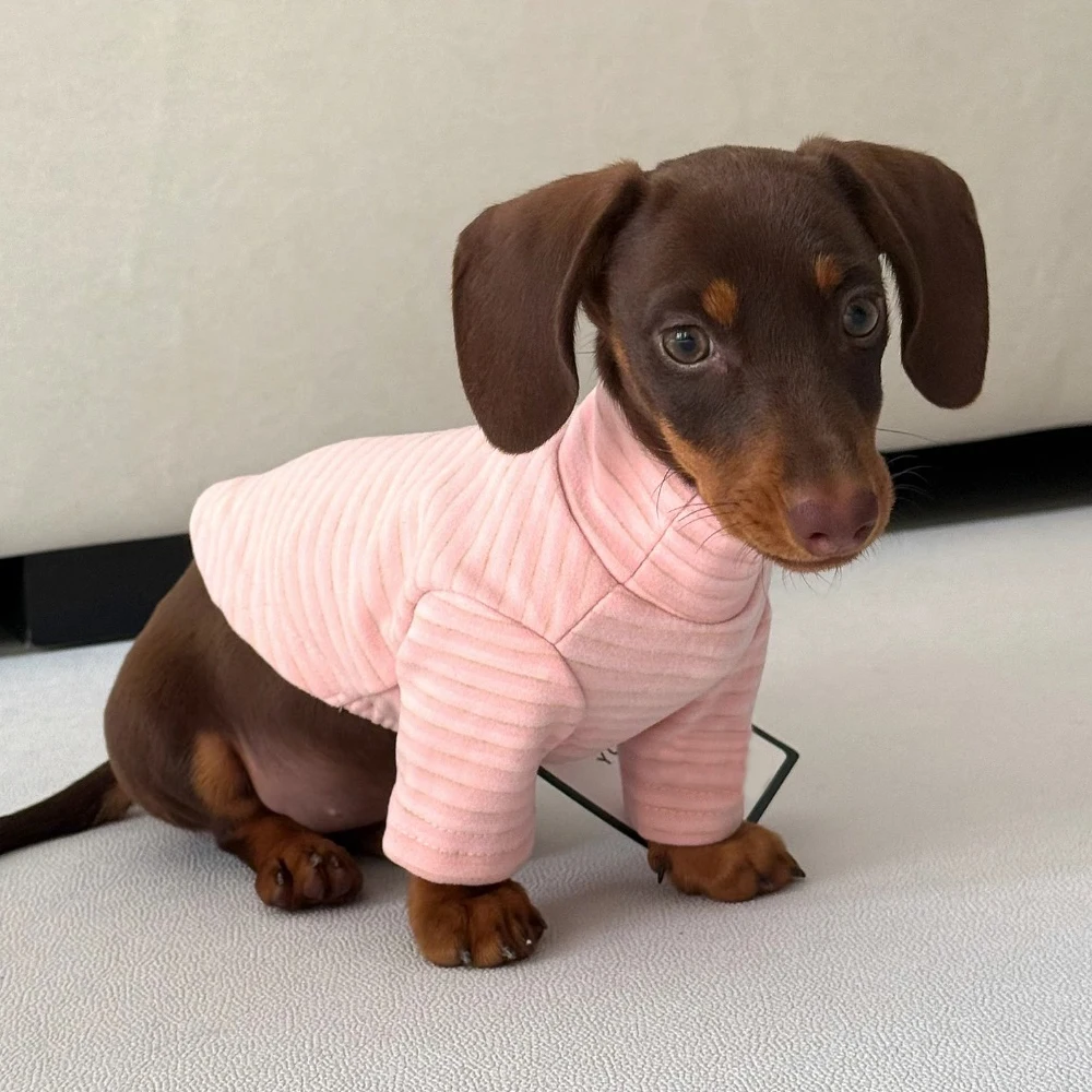Gestreifte Miniatur-Dackel-Hundekleidung Weiche Warme Kleine Dackel-Pyjamas Rosa Gelb