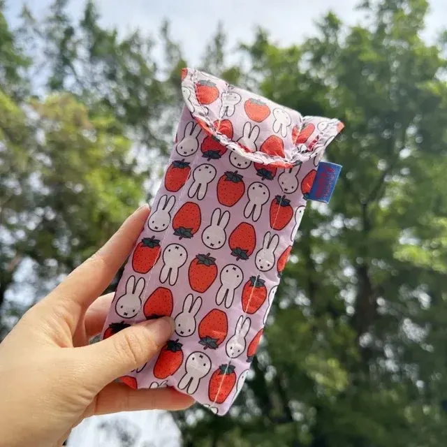 Eyeglasses Case 2
