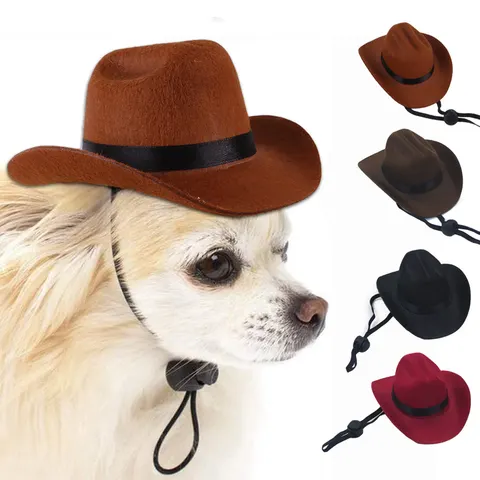 Verstellbarer Cowboyhut für Hunde und Katzen