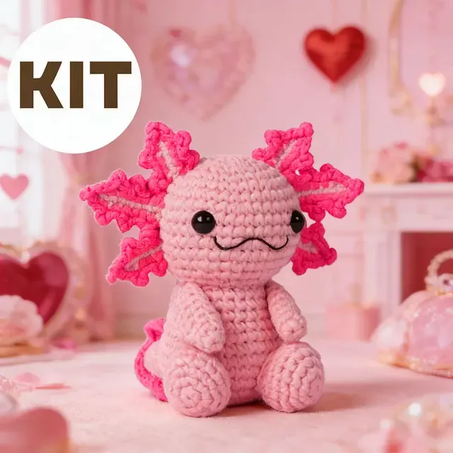 Crochet Starter Kit 4