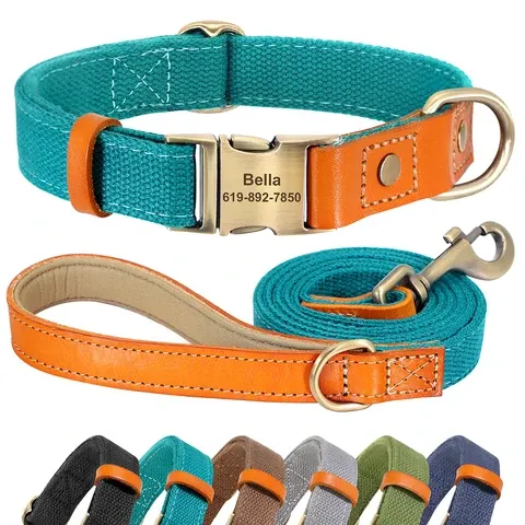 Nylon Benutzerdefinierte Hund Welpen Kragen Leine Set Personalisierte