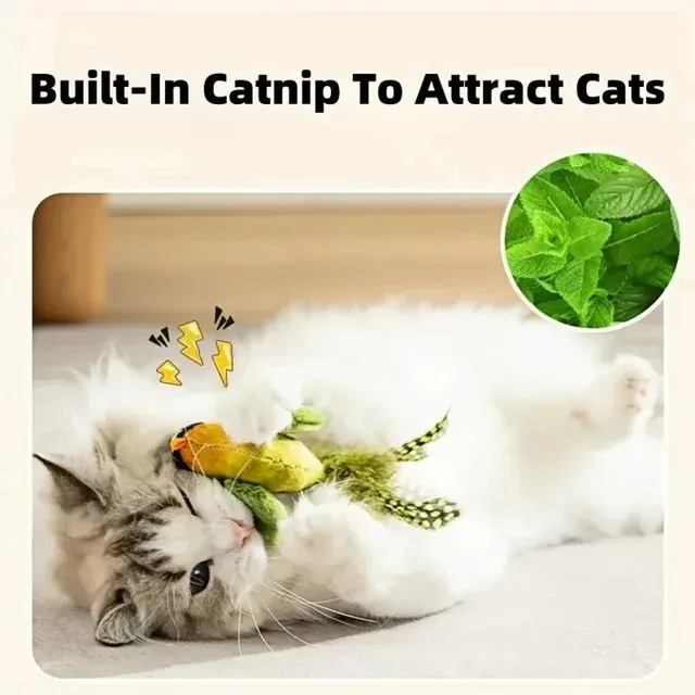 Bird Sound Cat Toy with Elastic Rope 3