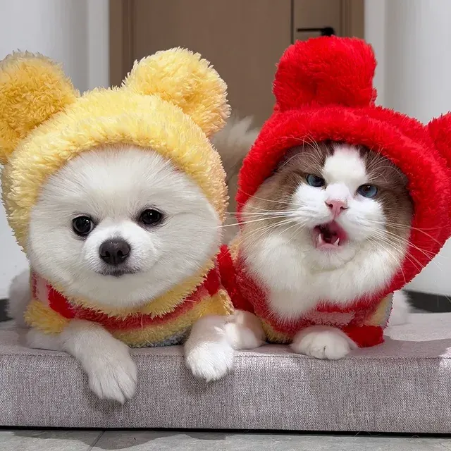 Dog Sweater 4