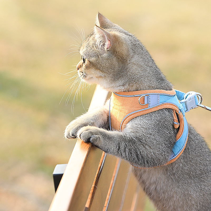 Katzengeschirr mit Leine 2