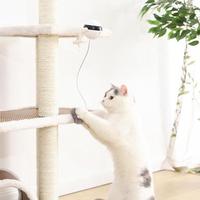 Interaktives Katzenspielzeug