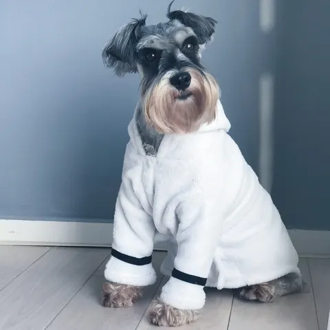Dog Bathrobe