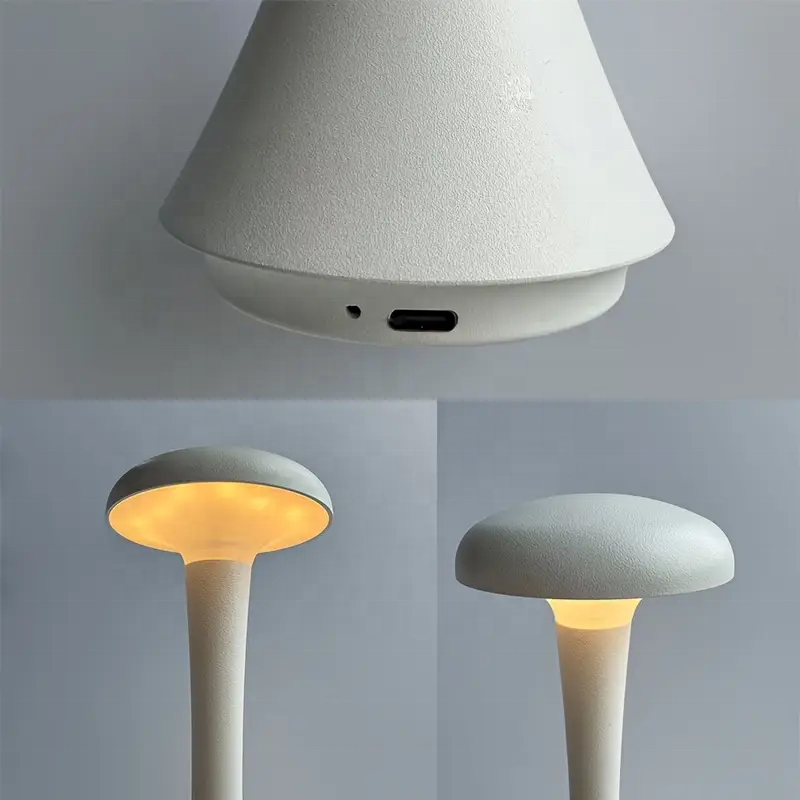 Cordless Touch Control LED Table Lamp 3