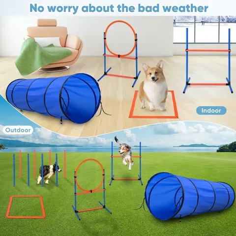 Hunde-Agility-Set