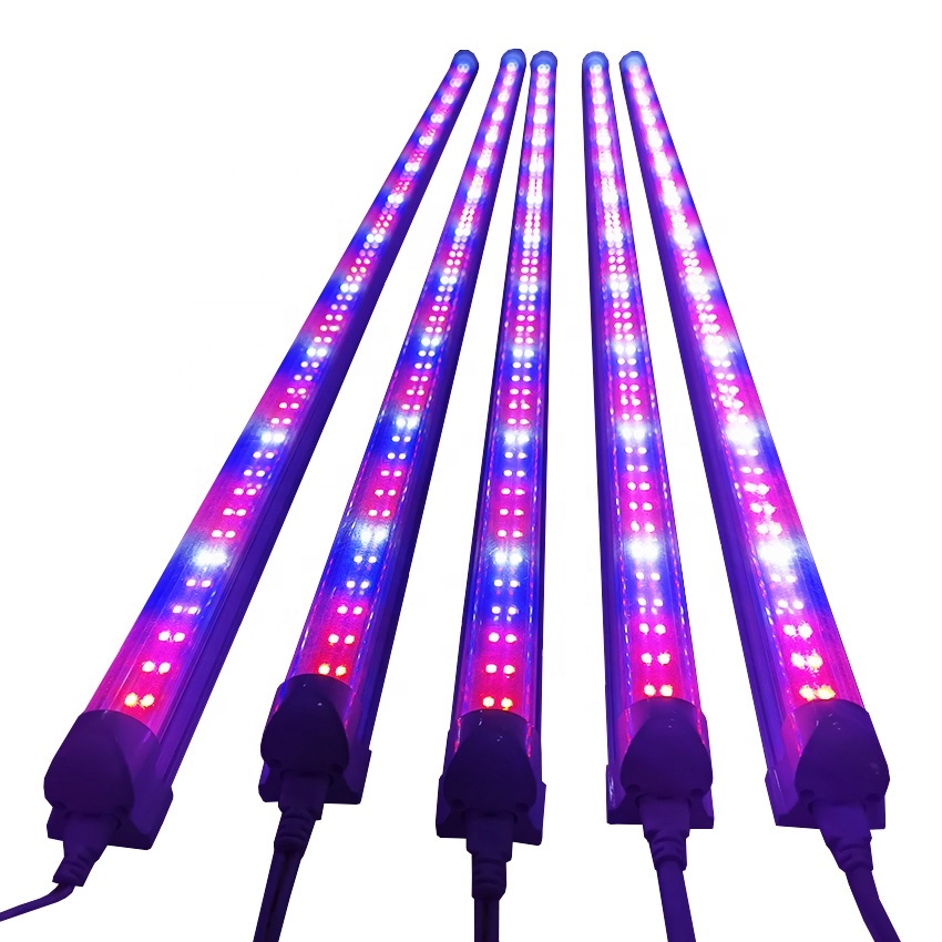 Mikrogrün Anzucht T8 LED Röhrenlampe