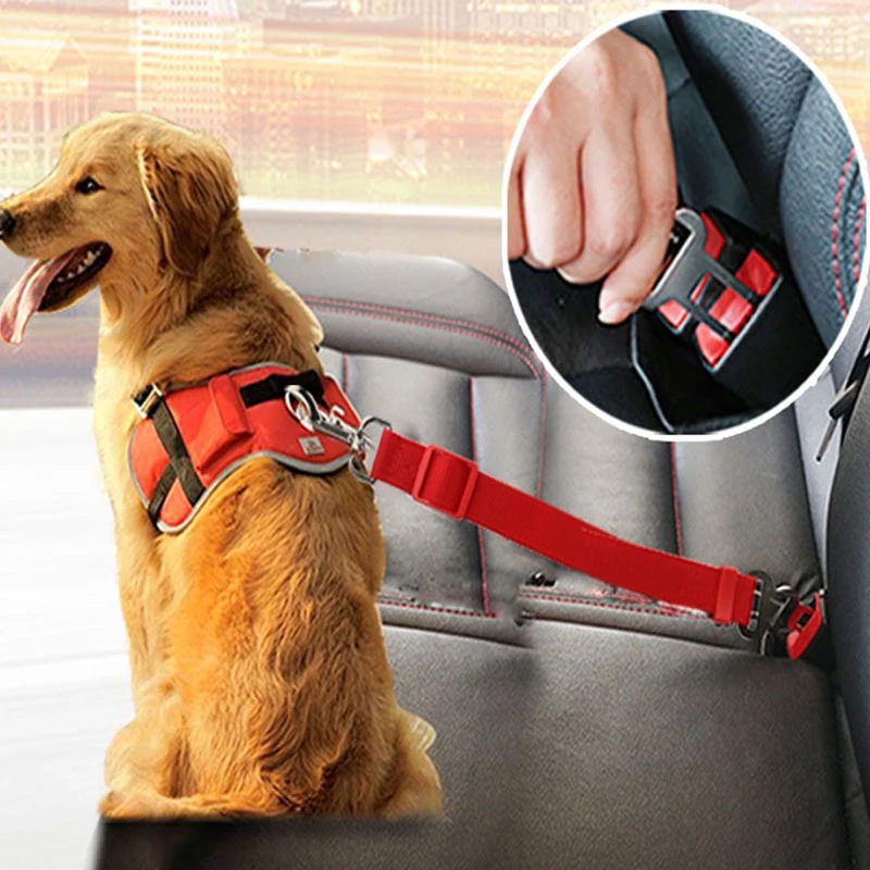 Hunde-Autogurt