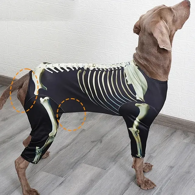 Dog Skeleton Costume 4