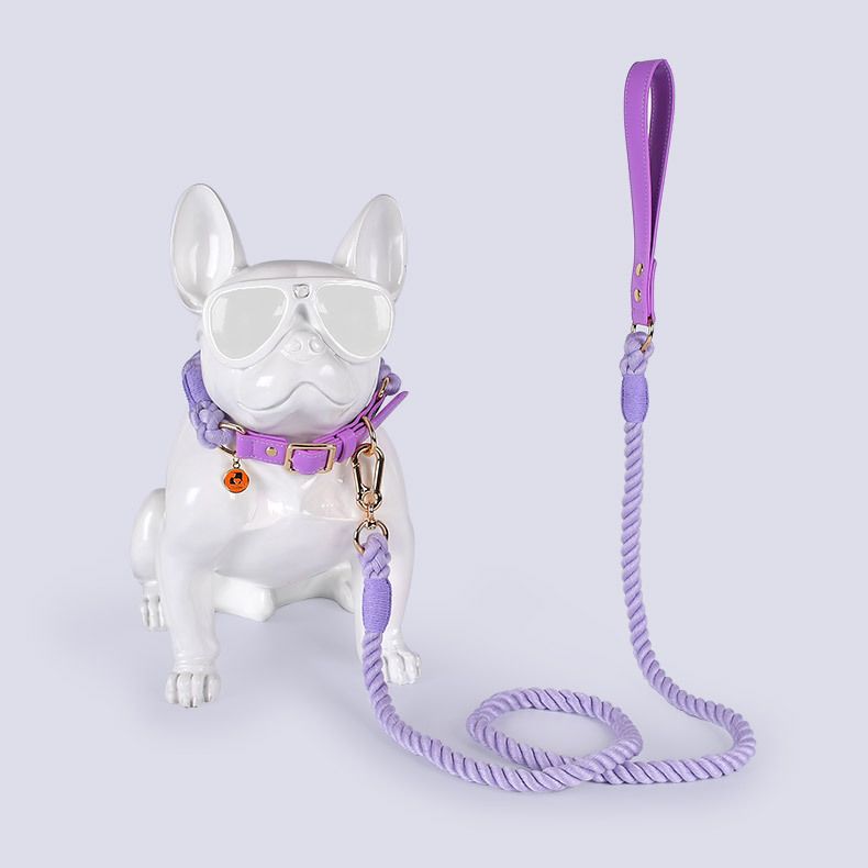 Hundeleine-Halsband-Set