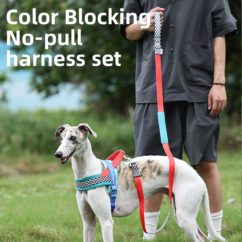 Comfortable Dog Chest Harness Durable Luxury Set Accessories 4