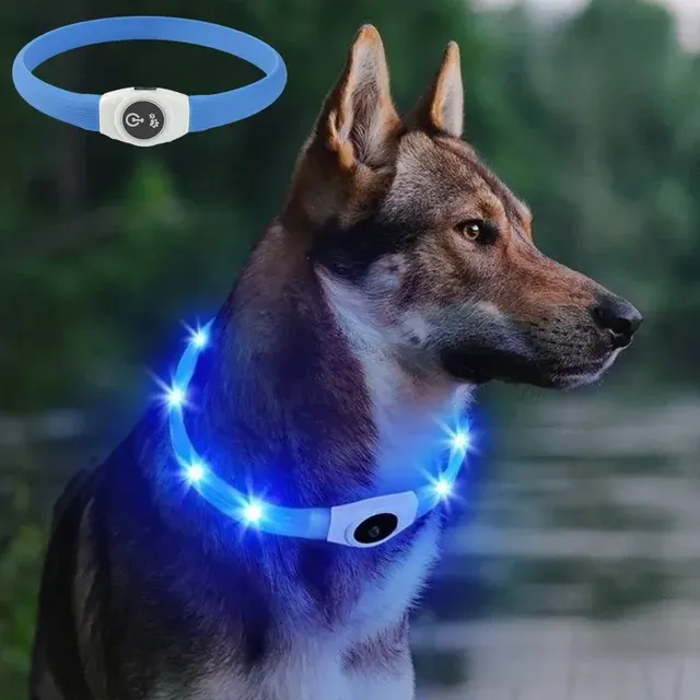 LED Dog Collar 2