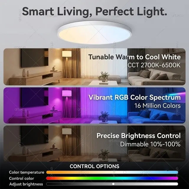 Smart Ceiling Light 2