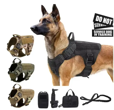 Hundegeschirr-Set