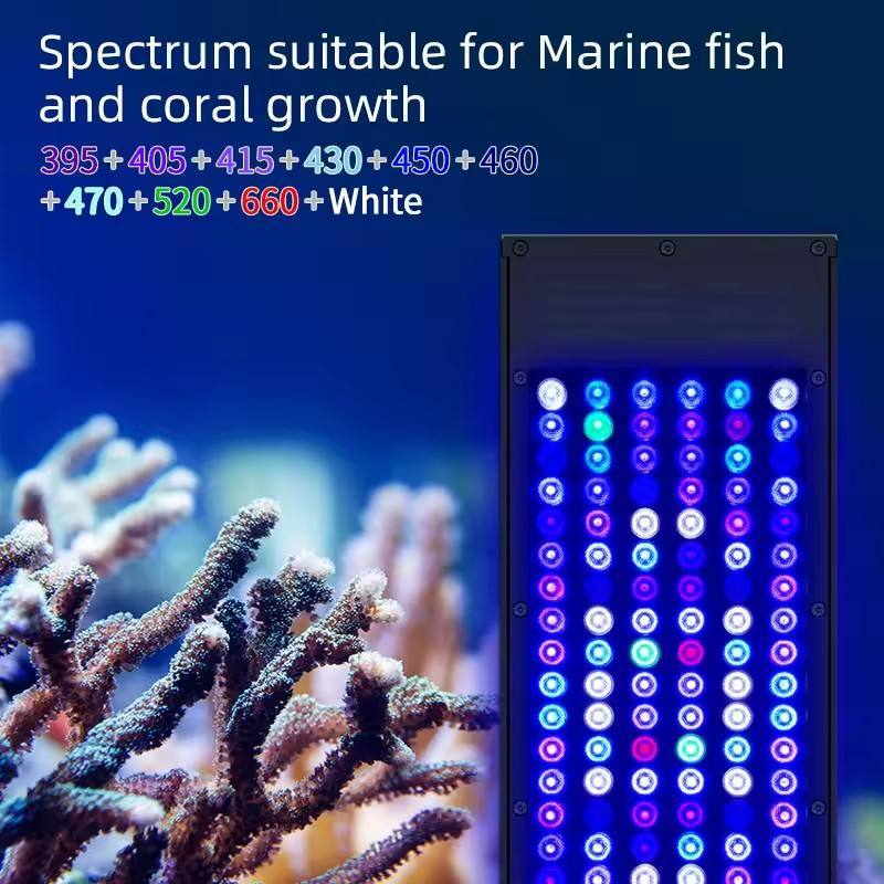 WEEK AQUA Dimmable Full Spectrum Coral Reef Lamp 3