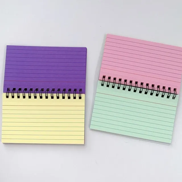 Mini Notebook 2