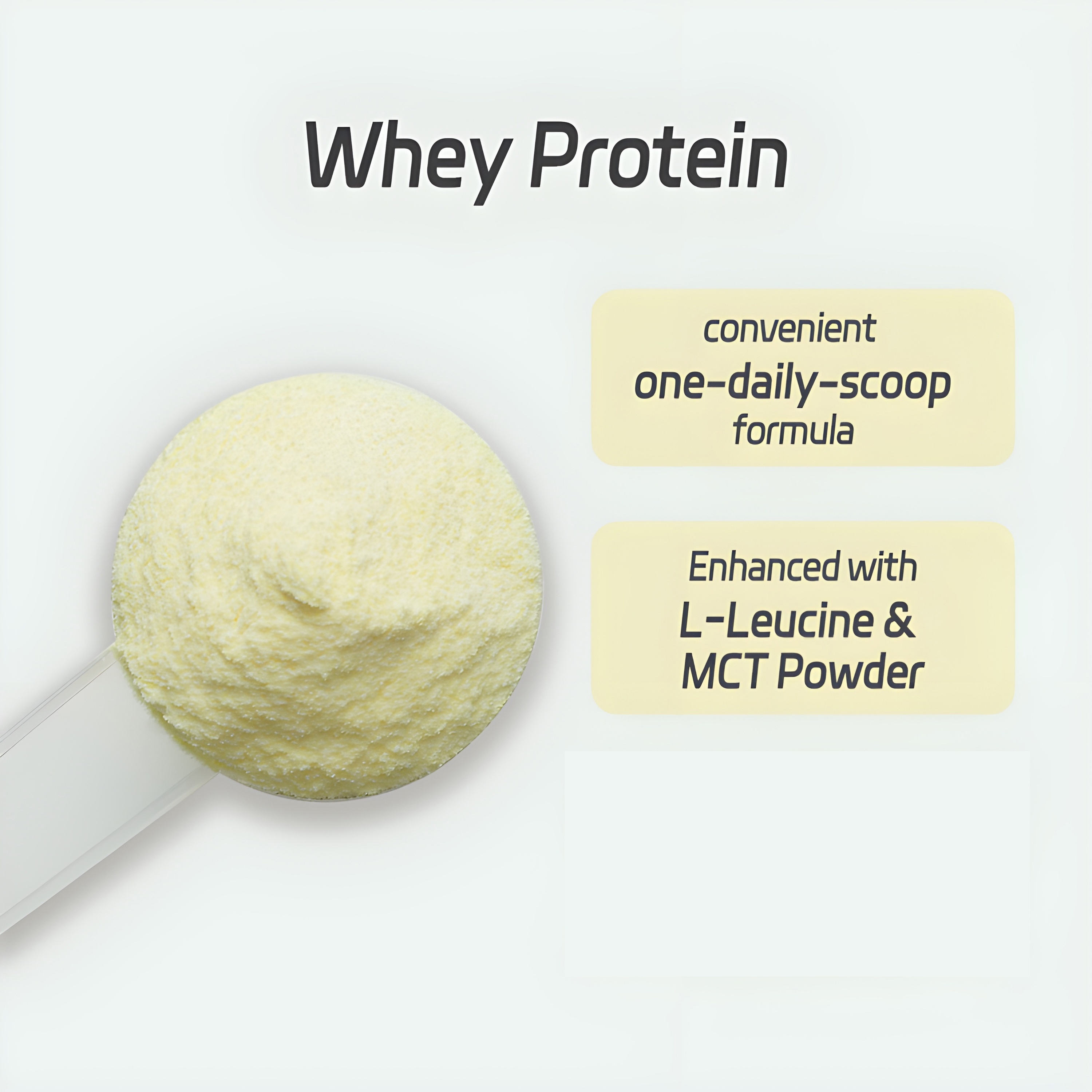 Protein Powder for Adults with Immune Support 3