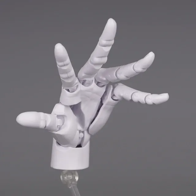 Hand Model 2