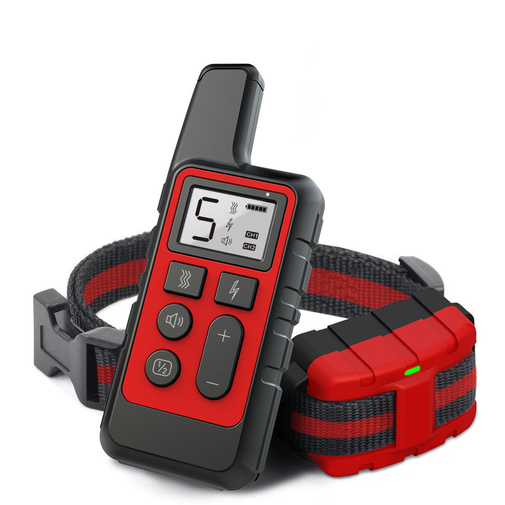 Rotes Hundetrainingshalsband