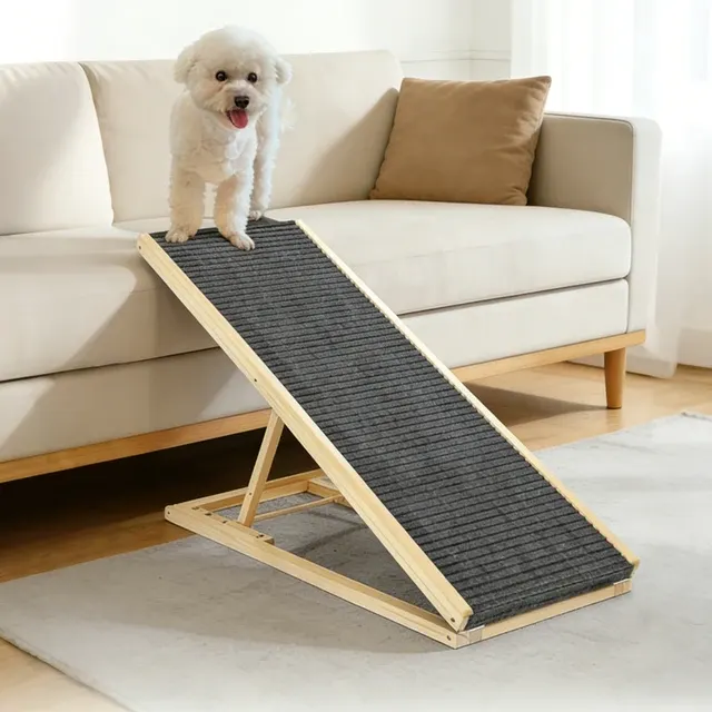 Pet Ramp 2
