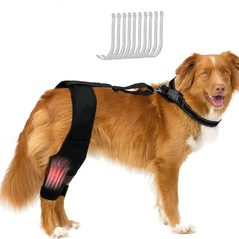 Hunde-Knieorthese