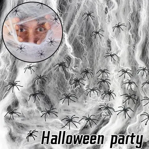 Halloween Spider Web Decoration