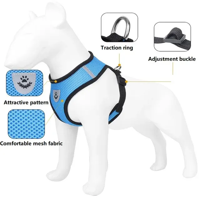 Anti-Escape Cat Harness with Leash 3