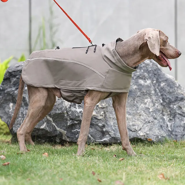 Hunde-Softshelljacke 1