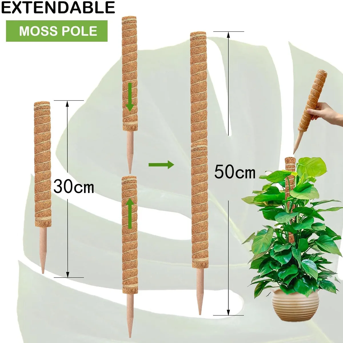 Green Coconut Coir Plant Climbing Pole 3